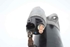 Picture of Motor de arranque Hyundai I20 de 2008 a 2012 | 36100-03100
VALEO 1250902