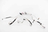 Picture of Air Conditioning Hose / Pipes Set Citroen C-Elysée from 2012 to 2016 | 9674395480
9676996280