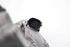 Picture of Corpo de injecção / borboleta Opel Insignia A de 2008 a 2013 | 55564164