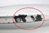 Picture of Rear Bumper Renault Grand Espace IV Fase I from 2003 to 2006 | 8200102310