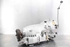 Picture of Gearbox Mercedes Classe E (212) from 2009 to 2013 | 2122705600 
21252710201 
2202711901
2122700500