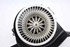 Immagine di Ventilatore chauffage Volkswagen Polo da 2014 a 2017 | 6R1819015A