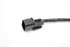 Imagen de Sonda lambda Kia Rio de 2011 a 2015 | KEFICO 9025030006KB
39210-03040