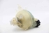 Imagen de Deposito expansion Citroen C3 Van de 2005 a 2009 | 9652621280
9680163780