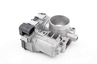 Immagine di Corpo farfallato Fiat Panda da 2012 a 2021 | 55250461
