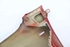 Immagine di Parafango destro Fiat Panda da 2012 a 2021 | 0000051931800 - 51931800