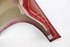 Immagine di Parafango destro Fiat Panda da 2012 a 2021 | 0000051931800 - 51931800