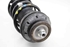 Imagen de Suspension / amortiguador e muelle delantera izquierda Fiat Tipo de 2015 a 2020 | 520594150
