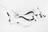 Picture of Air Conditioning Hose / Pipes Set Fiat Tipo from 2015 to 2020 | 51986986 - 51986984 - 51986987