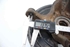 Bild von Achsschenkel vorne links Nissan Juke aus 2010 zu 2014 | 400151KK0H