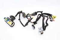 Imagen de Instalación eléctrica puerta delantera izquierda Citroen C4 de 2010 a 2014 | 9675648180