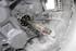 Imagen de Caja cambios / transmision Citroen C4 de 2010 a 2014 | 1611185980 - 20EA08 - 983509