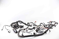 Picture of Instalação eléctrica do compartimento do motor Opel Insignia A de 2008 a 2013 | 22869642
55577792
55577039