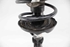 Imagen de Suspension / amortiguador e muelle delantera derecha Opel Insignia A de 2008 a 2013 | 22830748