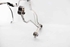 Picture of Air Conditioning Hose / Pipes Set Seat Ibiza from 2008 to 2012 | 6R0820721D
6R1820743D
6R1820741J