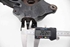 Bild von Achsschenkel vorne links Renault Megane III Break Fase I aus 2008 zu 2012