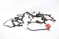 Imagen de Instalación eléctrica compartimiento del motor Ford Ka de 2008 a 2016 | 55209380