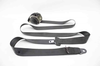 Immagine di Cintura posteriore destra Citroen C4 da 2008 a 2010 | 