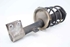 Imagen de Suspension / amortiguador e muelle delantera izquierda Citroen C4 de 2008 a 2010 | 