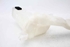 Picture of Windscreen Washer Fluid Tank Seat Ibiza from 2008 to 2012 | 6Q0955453