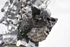 Imagem de Motor Toyota Yaris de 2009 a 2011 | 1626233011 - 1ND-TV