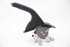 Picture of Handbrake Handle Hyundai I20 from 2014 to 2018 | 
