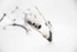 Imagem de Conjunto de tubos de ar condicionado Peugeot 3008 de 2014 a 2016 | 9675201080 - 9670651880