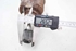 Immagine di Albero motore / Semiasse anteriore destra Peugeot 308 da 2017 a 2021 | 9806699780