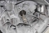 Image sur Boîte de vitesses Citroen C4 de 2010 à 2014 | 1611026380 - 20CA08 - 1915166
