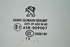 Immagine di Vetro di porta anteriore destra Peugeot 308 da 2013 a 2017 | 9677867580 - 