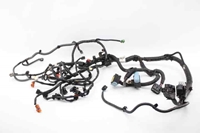 Immagine di Impianto elettrico vano motore Nissan Juke da 2010 a 2014 | 240111KB0B