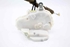 Bild von Türschloss hinten links Honda Civic aus 2006 zu 2008 | 72650SMGG12 - 72651SMGG0
