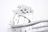 Picture of Rear Right Window Regulator Lift Toyota Yaris from 2003 to 2005 | 