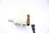 Picture of Bomba de travões Citroen Berlingo Van de 2015 a 2018 | 4601V9 - 9654002180 - TRW