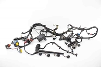 Imagen de Instalación eléctrica compartimiento del motor Citroen C3 de 2009 a 2013 | 9671860880 - 9671294880