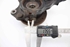 Imagen de Mangueta delantera derecha Peugeot 208 de 2012 a 2015 | 1607557580 - 