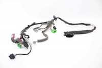 Imagen de Instalación eléctrica puerta delantera izquierda Volvo V40 de 2012 a 2016 | 31334093