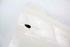Picture of Guarda lamas direito Alfa Romeo Mito de 2008 a 2016 | 50509311