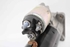 Picture of Motor de arranque Opel Insignia A de 2013 a 2017 | 55572065 - 0001148004 - BOSCH