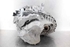 Imagen de Caja cambios / transmision Opel Insignia A de 2013 a 2017 | 55593607 - R15063551 - BAJ