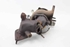 Picture of Turbo Renault Megane III Break Fase I de 2008 a 2012 | 7701479077 - 14256RH82728404 - MF5017571900052 - 54399700076