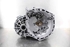 Picture of Caixa de velocidades Alfa Romeo Giulietta de 2010 a 2016 | C63563504 - 0173688