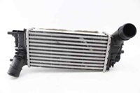Picture of Radiador do intercooler Ford Fiesta de 2022 a 2024 | 2401111 - L1BG6D624AB