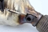 Immagine di Catalizzatore Ford Fiesta da 2022 a 2024 | M1B15E211BB