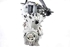 Imagen de Motor Ford Fiesta de 2022 a 2024 | 2462777 - BZJA