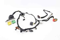 Imagen de Instalación eléctrica puerta delantera izquierda Peugeot 208 de 2012 a 2015 | 9801171780