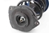 Picture of Suspensão / amortecedor e mola frente direita Renault Megane III Fase I de 2008 a 2012 | 543020008R - 16266230015 - MEYLE