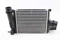 Picture of Intercooler Renault Captur I Fase I from 2013 to 2017 | 144965154R - 
