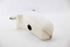Picture of Windscreen Washer Fluid Tank Seat Ibiza from 2008 to 2012 | 6Q0955453