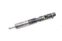 Immagine di Iniettore Renault Kangoo II Fase I da 2008 a 2012 | 166001137R - H8200421897 - 28232251 - DELPHI